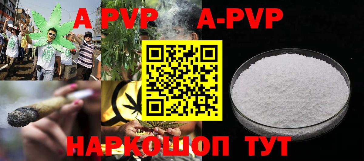 Альфа ПВП СК КРИС Лабинск
