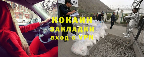 амф Алзамай
