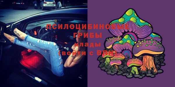 амф Алзамай