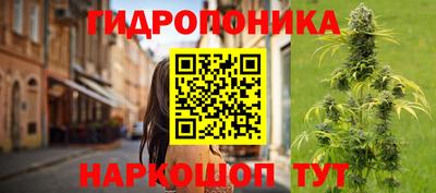 PSILOCYBIN Дубна