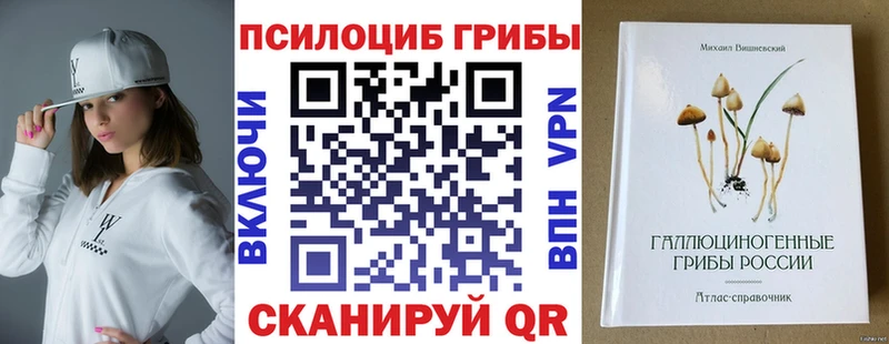 Псилоцибиновые грибы мицелий  сайты даркнета телеграм  Лабинск 